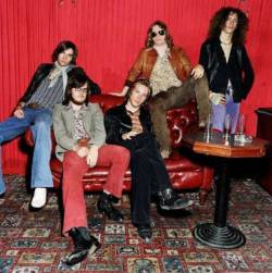 interview The Elderberries